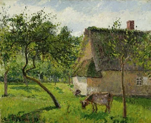 Obstgarten in Varengeville mit Kuh